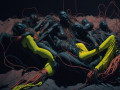 Lots_of_bodies_piled_on_top_of_each_other_w_1(2).jpg