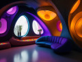design_a_organic_colorful_neon_room_1(3).jpg