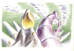 Egg-290525_cut.jpg