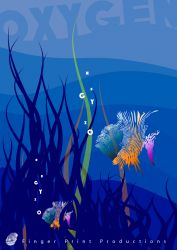 Fingerfisk-ilu-A3_4_wo
