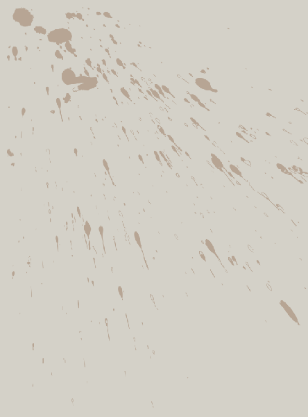 bvs654351cvxb.gif