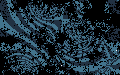 Worm_Image5.gif