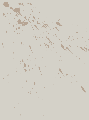bvs654351cvxb.gif